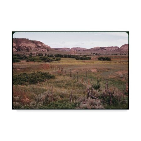 Trademark Fine Art American Eyes 'Rosebud Ranch' Canvas Art, 22x32 ALI24337-C2232GG